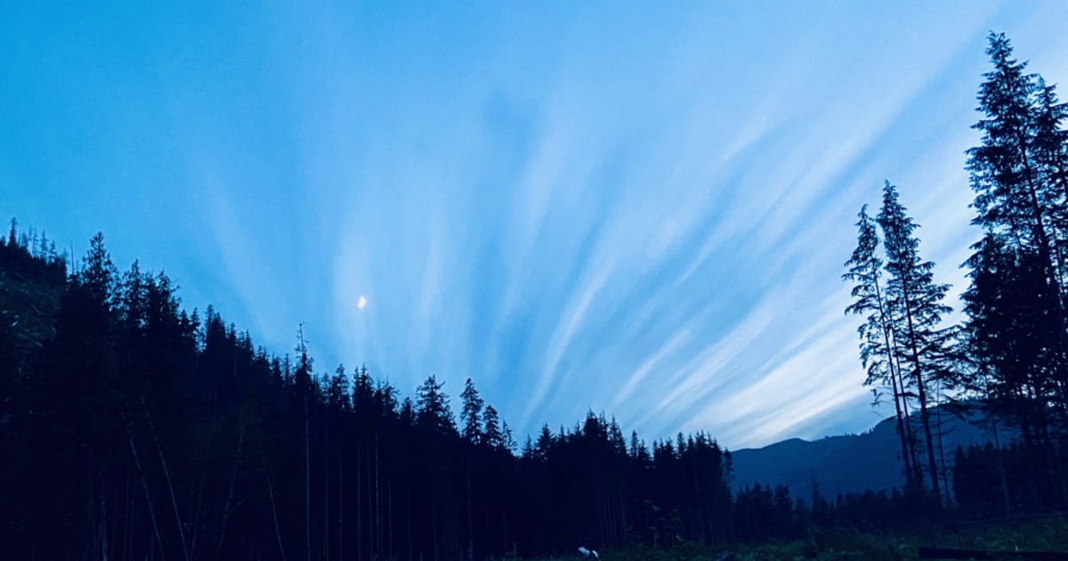 Icon for mastodon.kaisev.net